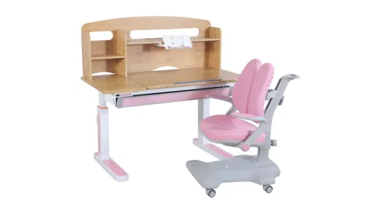 Modern Design Kid Furniture Children Study Chair for Boy & Girl